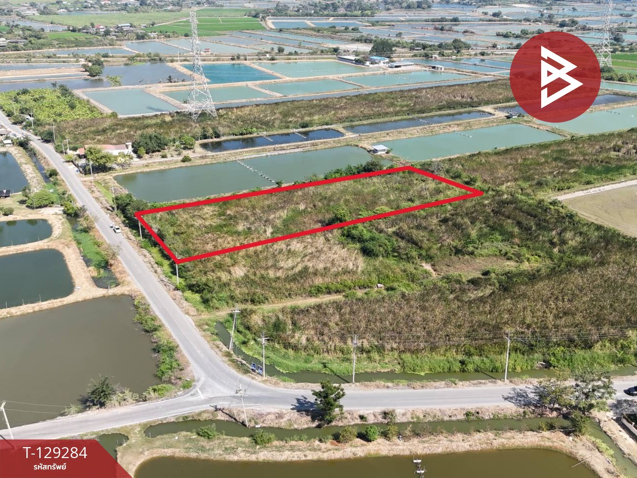 ขายที่ดิน เนื้อที่ 4 ไร่ 2 งาน ชุมชนบ้านโคกแย้ สระสี่มุม กำแพงแสน นครปฐม 9