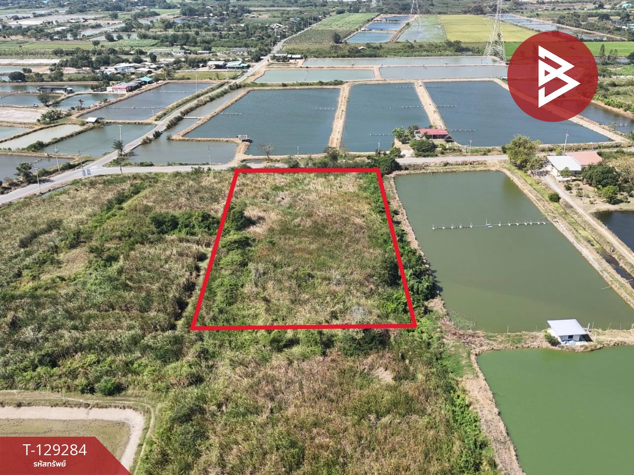 ขายที่ดิน เนื้อที่ 4 ไร่ 2 งาน ชุมชนบ้านโคกแย้ สระสี่มุม กำแพงแสน นครปฐม 4