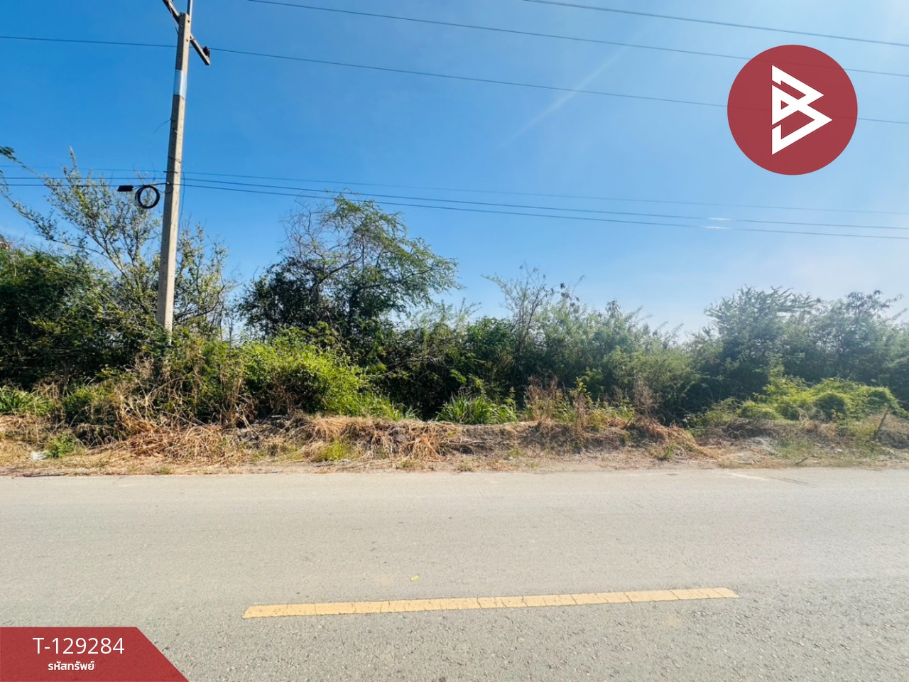 ขายที่ดิน เนื้อที่ 4 ไร่ 2 งาน ชุมชนบ้านโคกแย้ สระสี่มุม กำแพงแสน นครปฐม 11