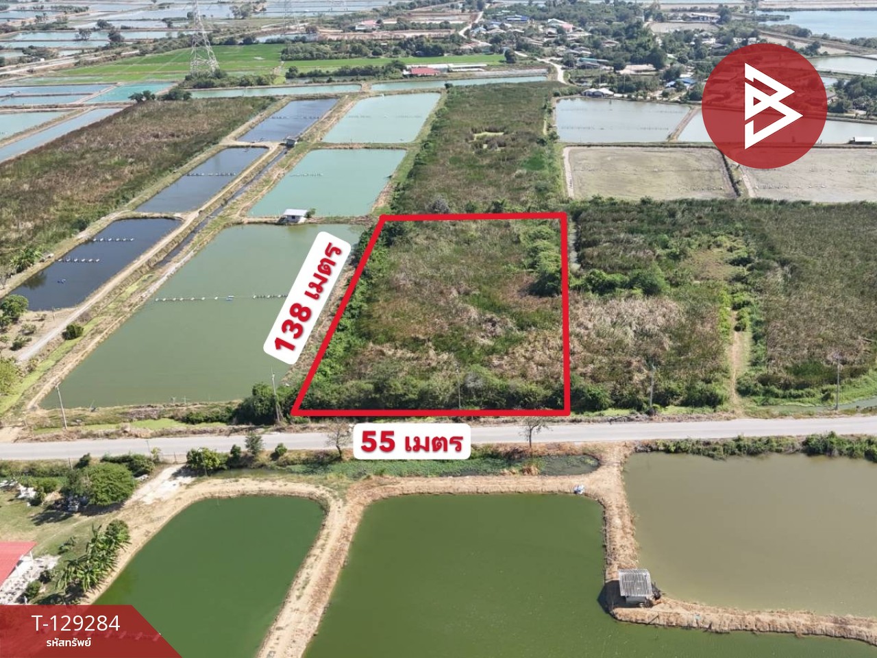 ขายที่ดิน เนื้อที่ 4 ไร่ 2 งาน ชุมชนบ้านโคกแย้ สระสี่มุม กำแพงแสน นครปฐม 1