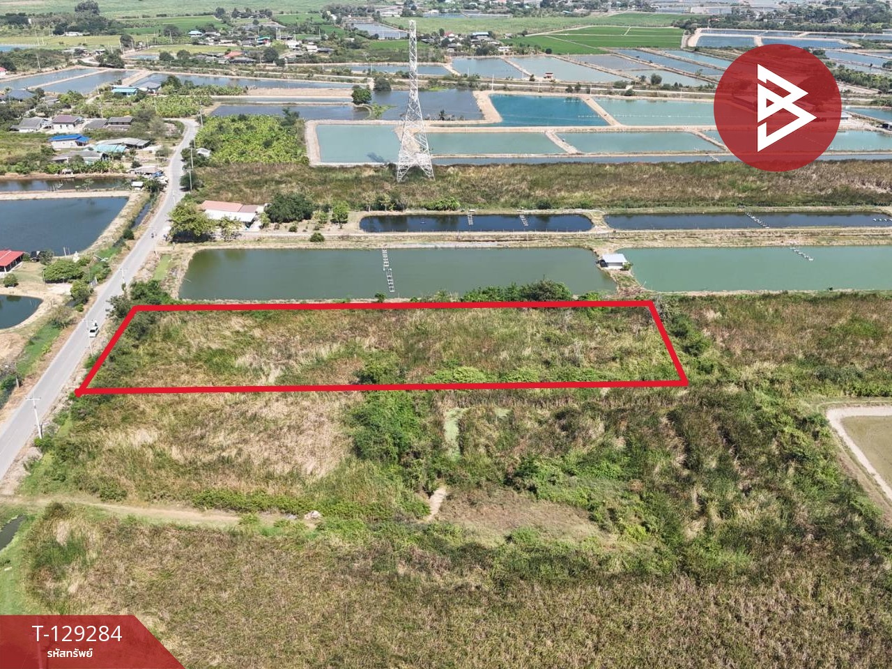 ขายที่ดิน เนื้อที่ 4 ไร่ 2 งาน ชุมชนบ้านโคกแย้ สระสี่มุม กำแพงแสน นครปฐม 10