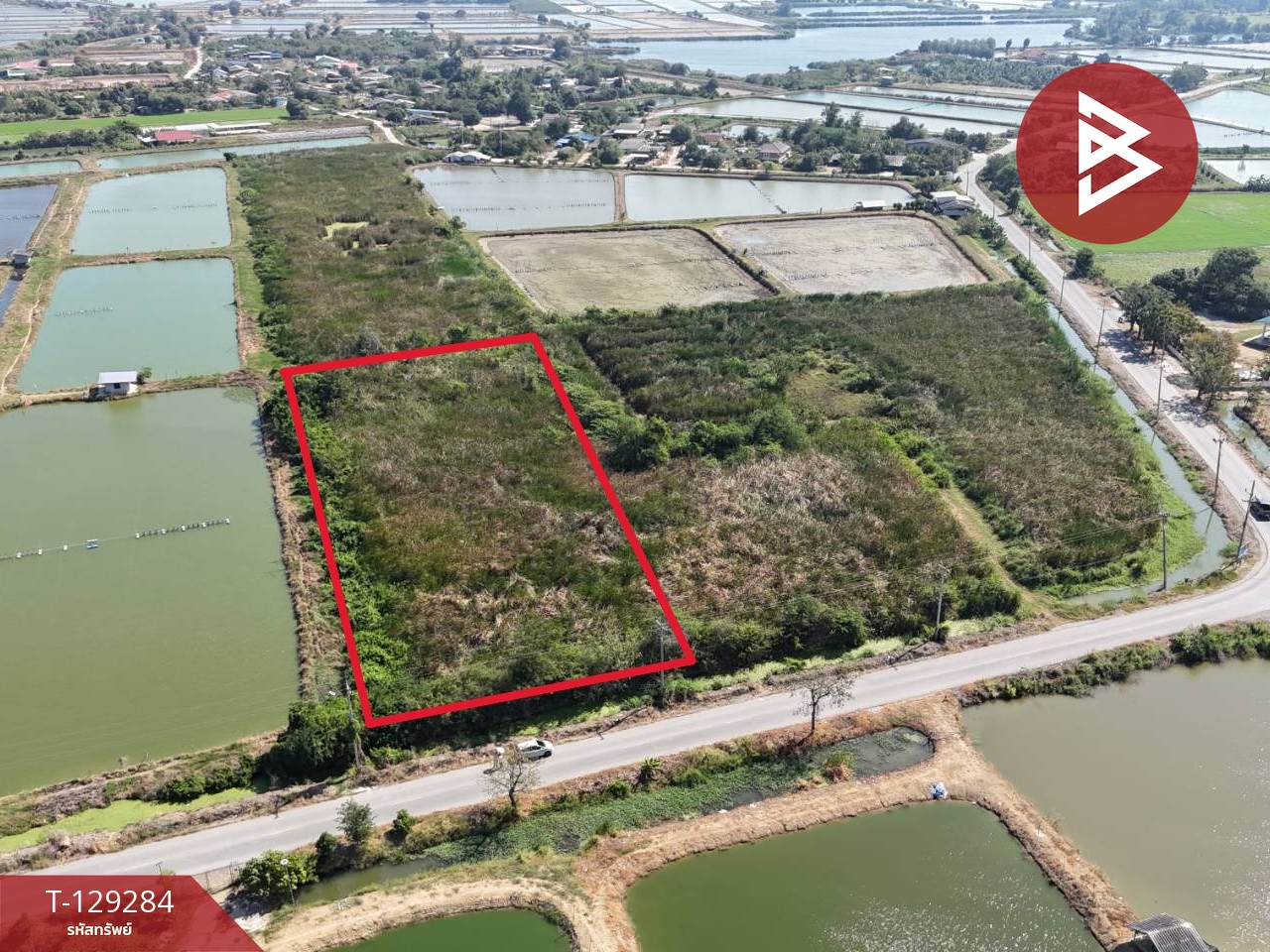 ขายที่ดิน เนื้อที่ 4 ไร่ 2 งาน ชุมชนบ้านโคกแย้ สระสี่มุม กำแพงแสน นครปฐม 6