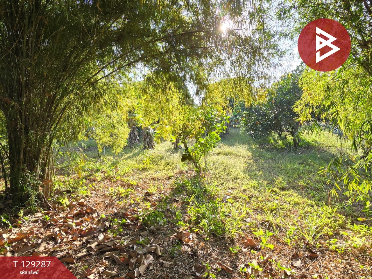 ขายที่ดินพร้อมบ้าน เนื้อที่ 1 ไร่ 2 งาน 15.2 ตร.วา แกลง ระยอง 13