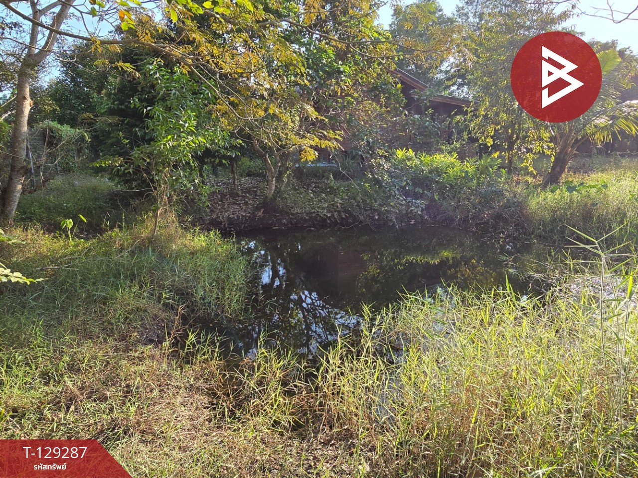 ขายที่ดินพร้อมบ้าน เนื้อที่ 1 ไร่ 2 งาน 15.2 ตร.วา แกลง ระยอง 14