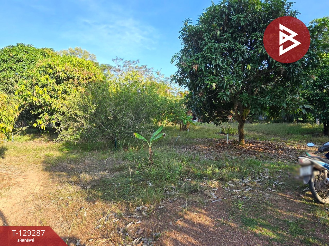 ขายที่ดินพร้อมบ้าน เนื้อที่ 1 ไร่ 2 งาน 15.2 ตร.วา แกลง ระยอง 12