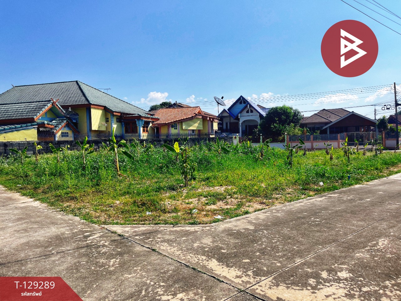 ขายที่ดิน เนื้อที่ 1 งาน 3 ตร.วา น้ำซึม อุทัยธานี 9