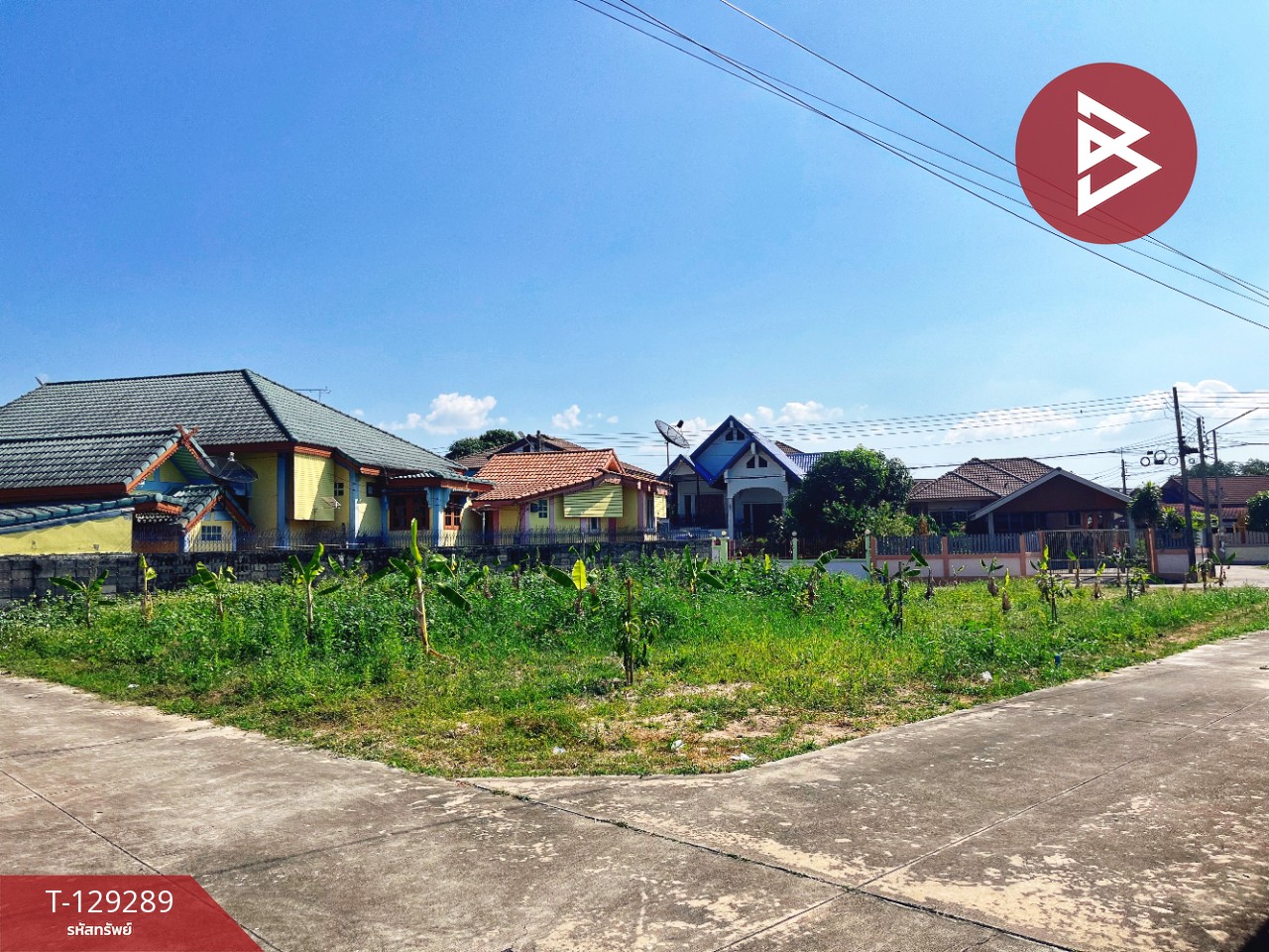 ขายที่ดิน เนื้อที่ 1 งาน 3 ตร.วา น้ำซึม อุทัยธานี 5