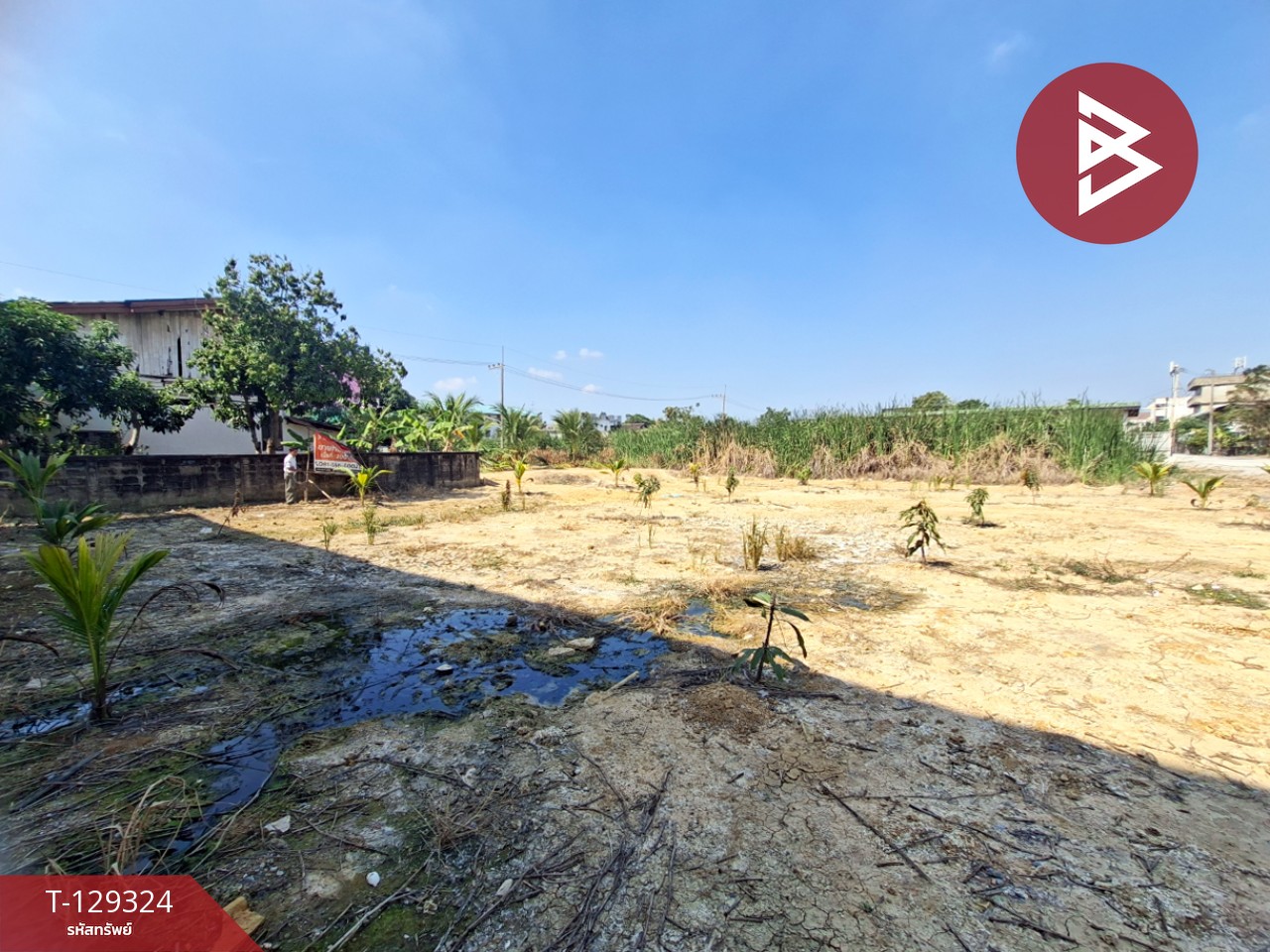 ขายที่ดินถมแล้ว เนื้อที่ 2 งาน สามพราน นครปฐม 8