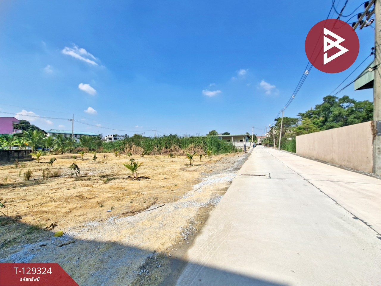 ขายที่ดินถมแล้ว เนื้อที่ 2 งาน สามพราน นครปฐม 7