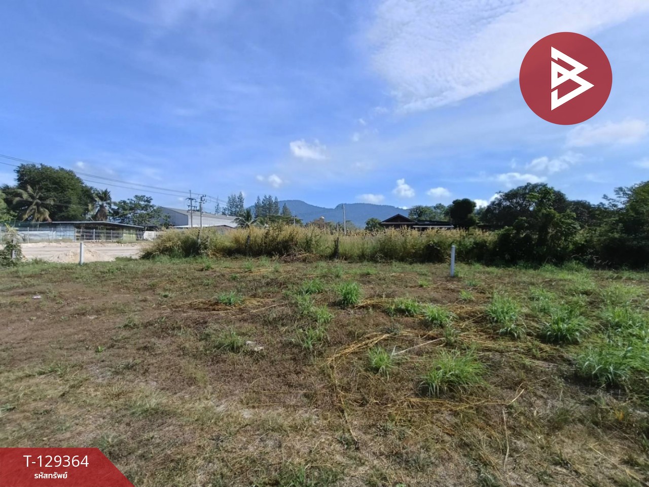 ขายที่ดิน เนื้อที่ 1 งาน 56.2 ตร.วา บ้านค่าย ระยอง 4