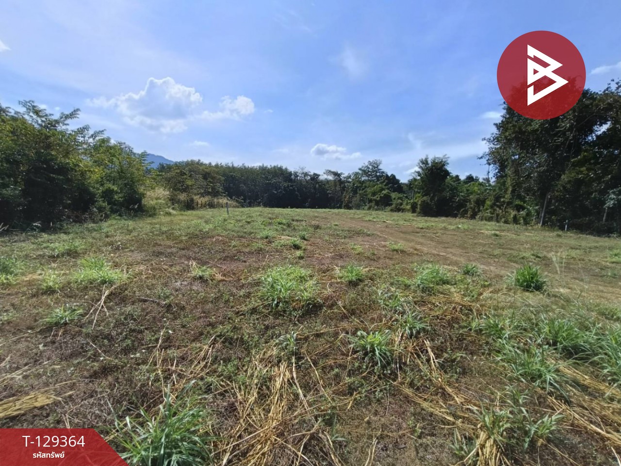 ขายที่ดิน เนื้อที่ 1 งาน 56.2 ตร.วา บ้านค่าย ระยอง 8