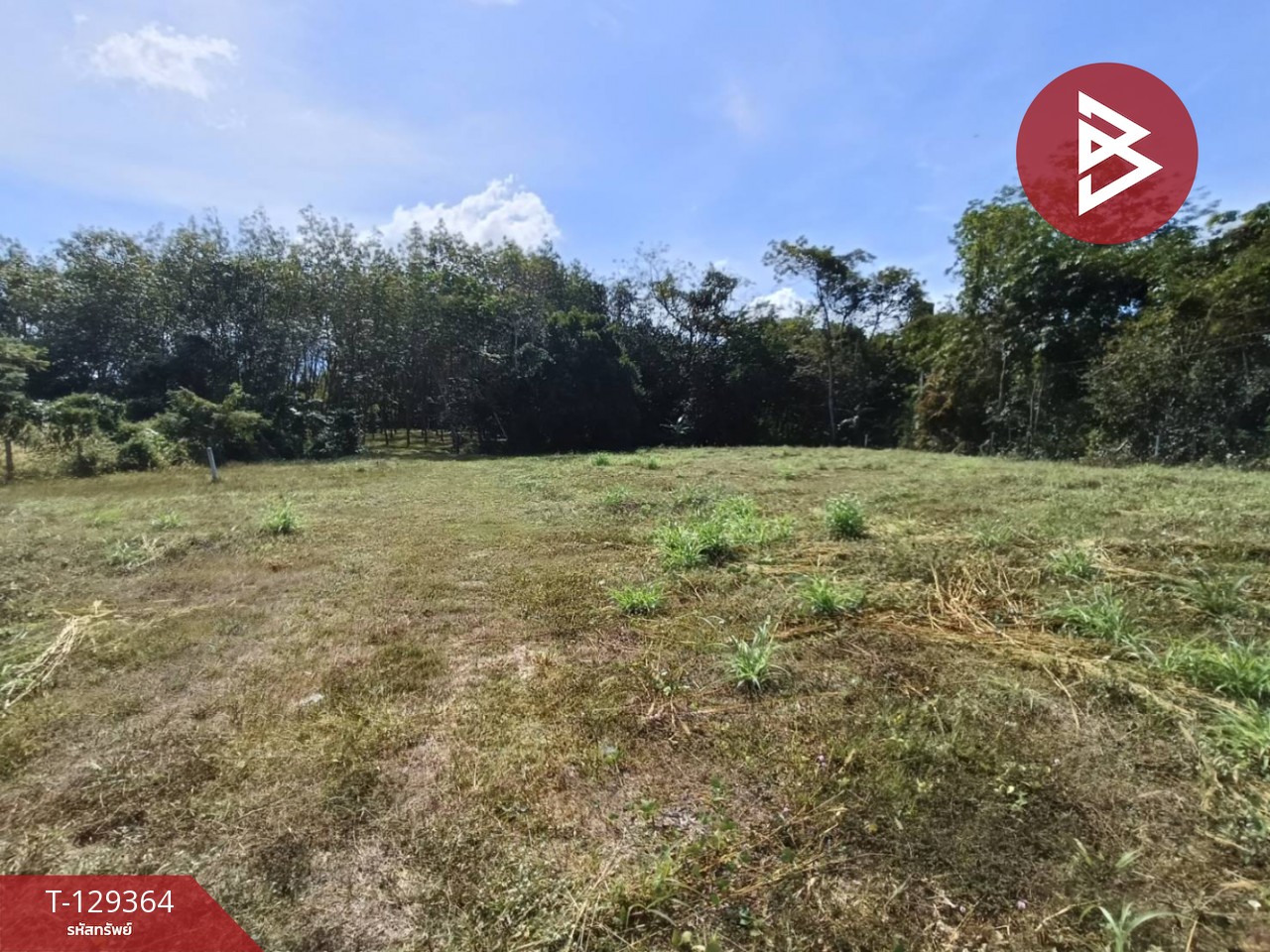 ขายที่ดิน เนื้อที่ 1 งาน 56.2 ตร.วา บ้านค่าย ระยอง 5