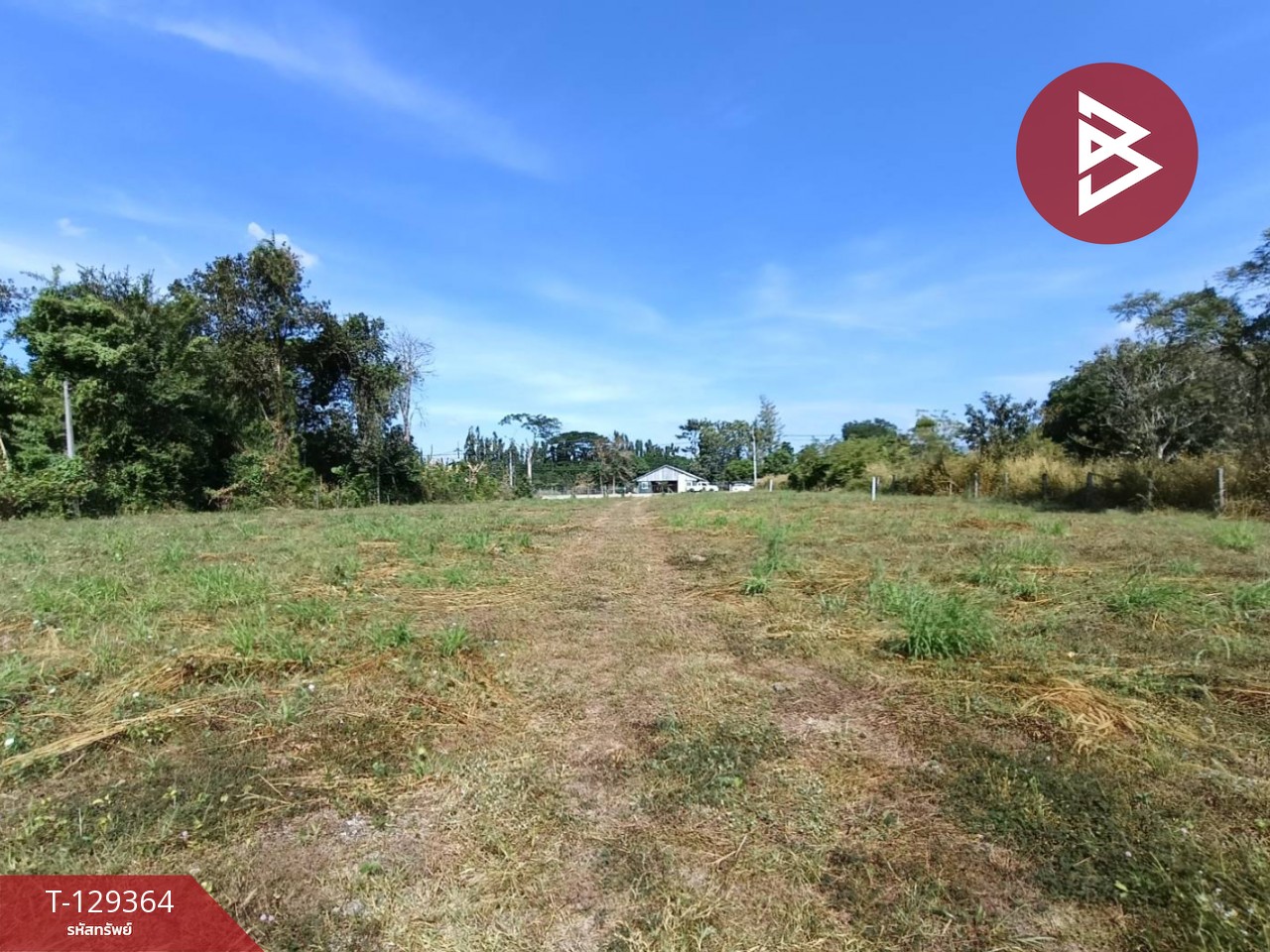 ขายที่ดิน เนื้อที่ 1 งาน 56.2 ตร.วา บ้านค่าย ระยอง 11