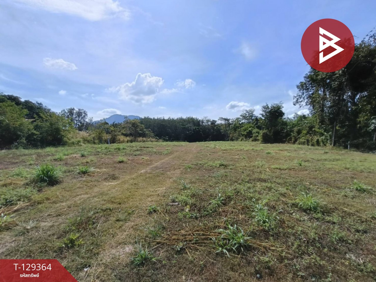 ขายที่ดิน เนื้อที่ 1 งาน 56.2 ตร.วา บ้านค่าย ระยอง 1