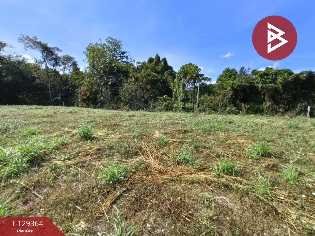 ขายที่ดิน เนื้อที่ 1 งาน 56.2 ตร.วา บ้านค่าย ระยอง 10