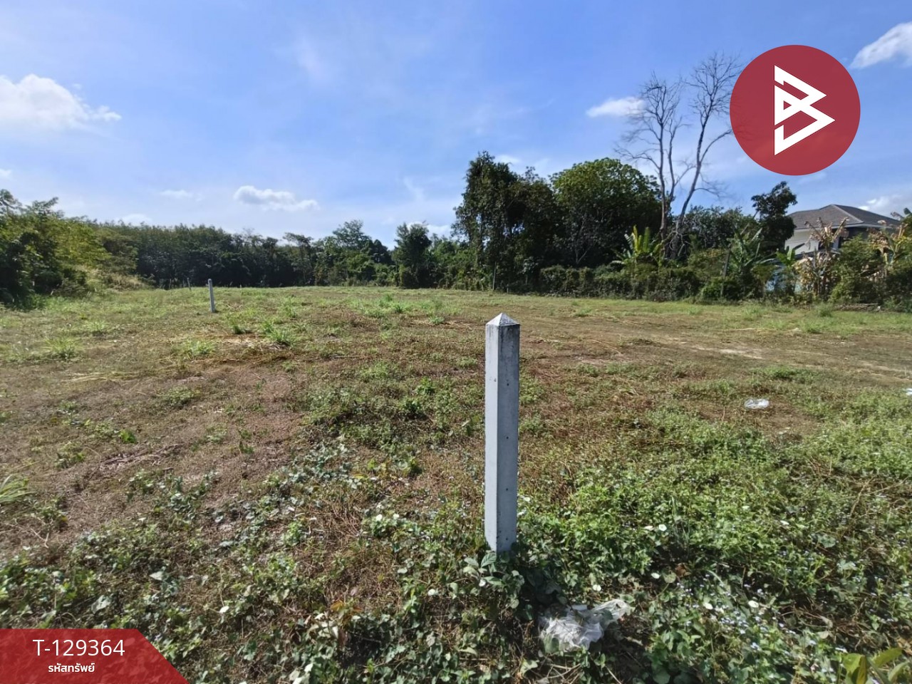 ขายที่ดิน เนื้อที่ 1 งาน 56.2 ตร.วา บ้านค่าย ระยอง 9