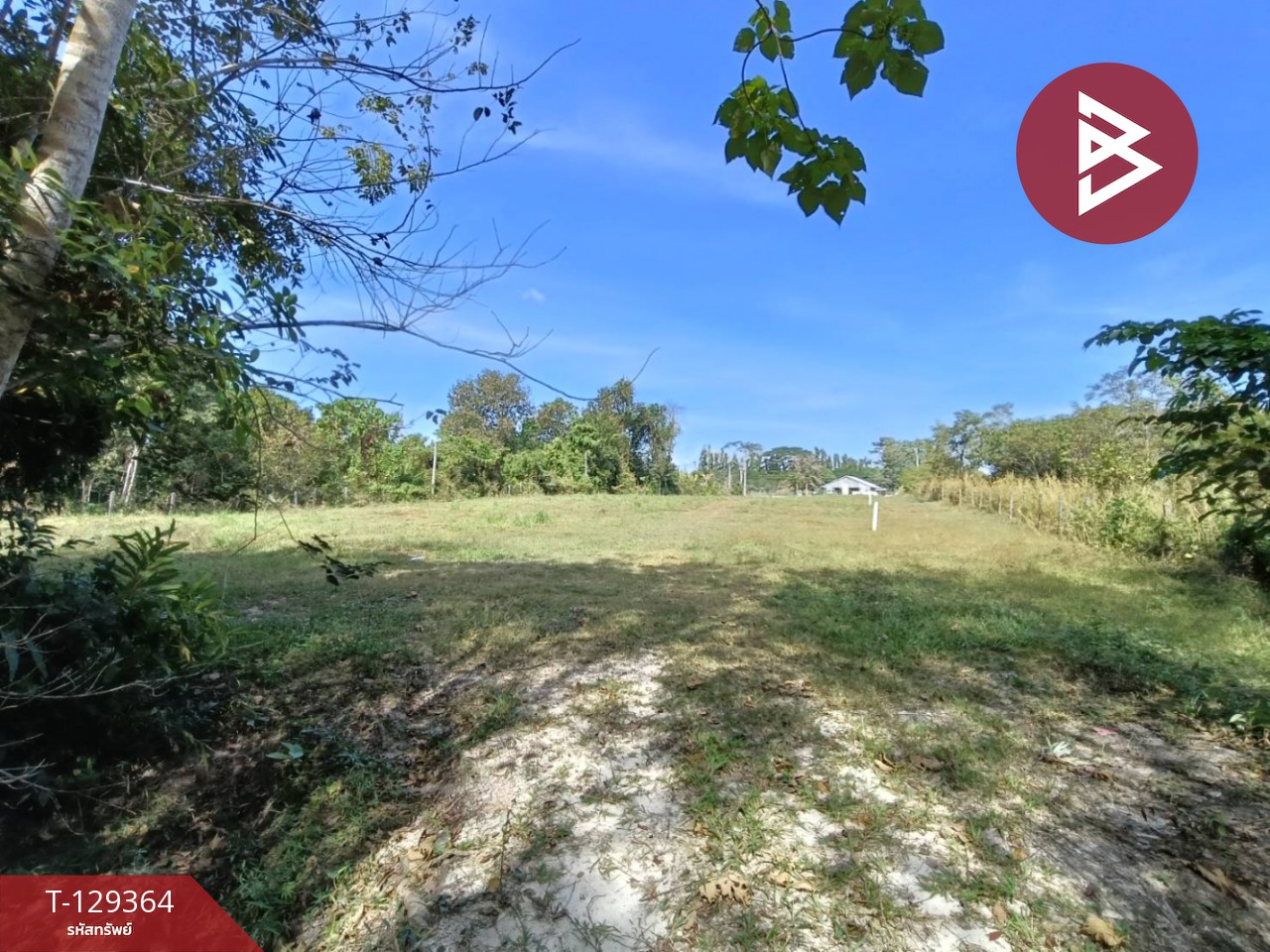 ขายที่ดิน เนื้อที่ 1 งาน 56.2 ตร.วา บ้านค่าย ระยอง 3