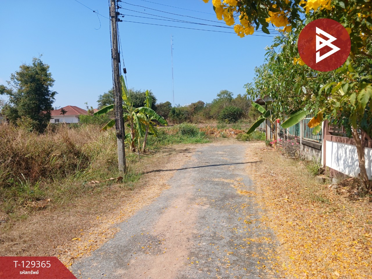 ขายบ้านเดี่ยวชั้นเดียว เนื้อที่ 80 ตร.วา มะเริง นครราชสีมา 14