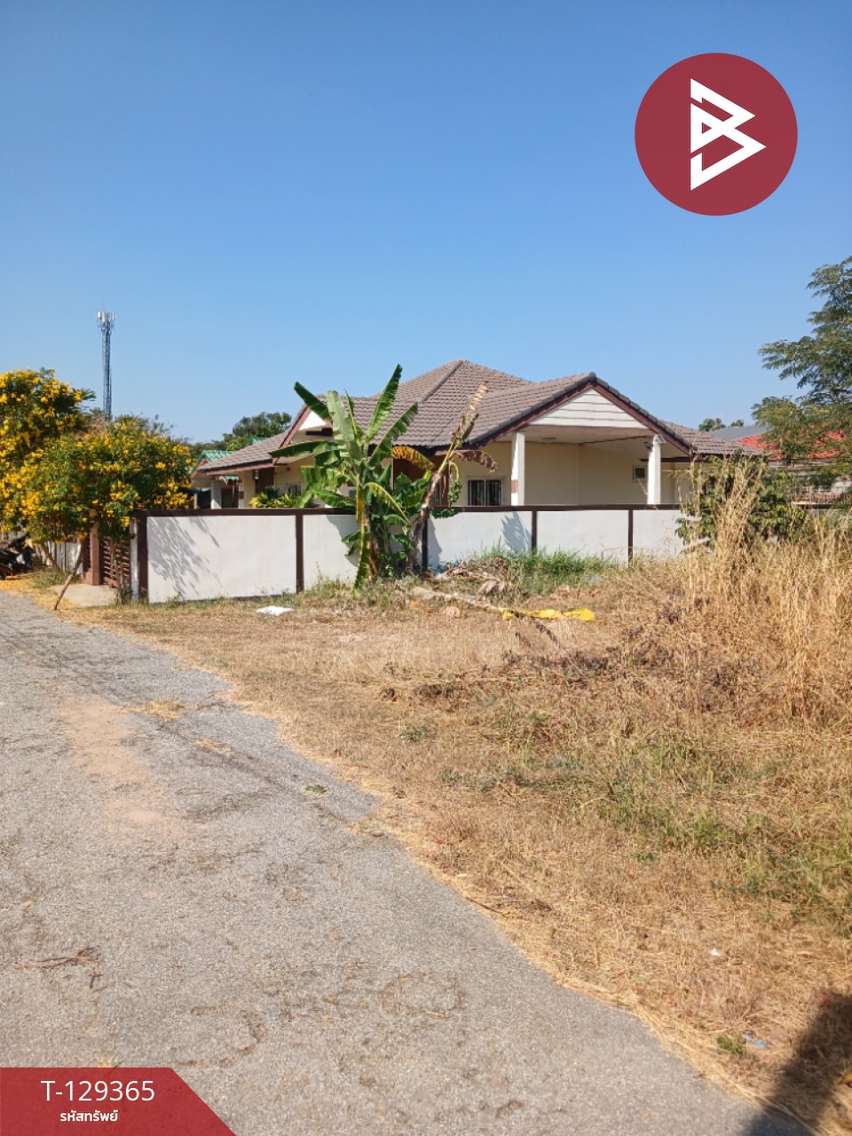 ขายบ้านเดี่ยวชั้นเดียว เนื้อที่ 80 ตร.วา มะเริง นครราชสีมา 13