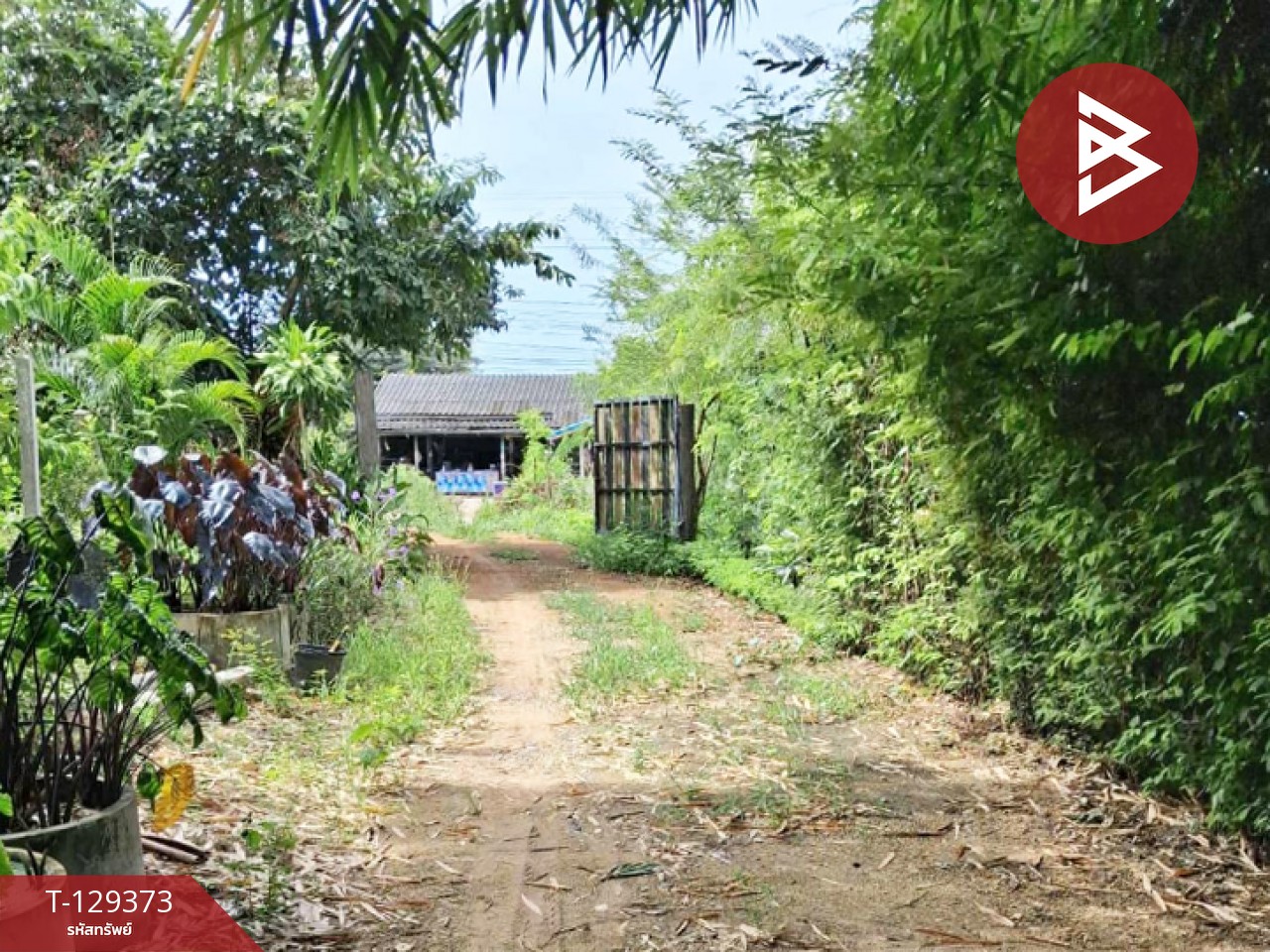 ขายบ้านเดี่ยวพร้อมที่ดิน เนื้อที่ 2 ไร่ 97 ตร.วา แก่งกระจาน เพชรบุรี 12