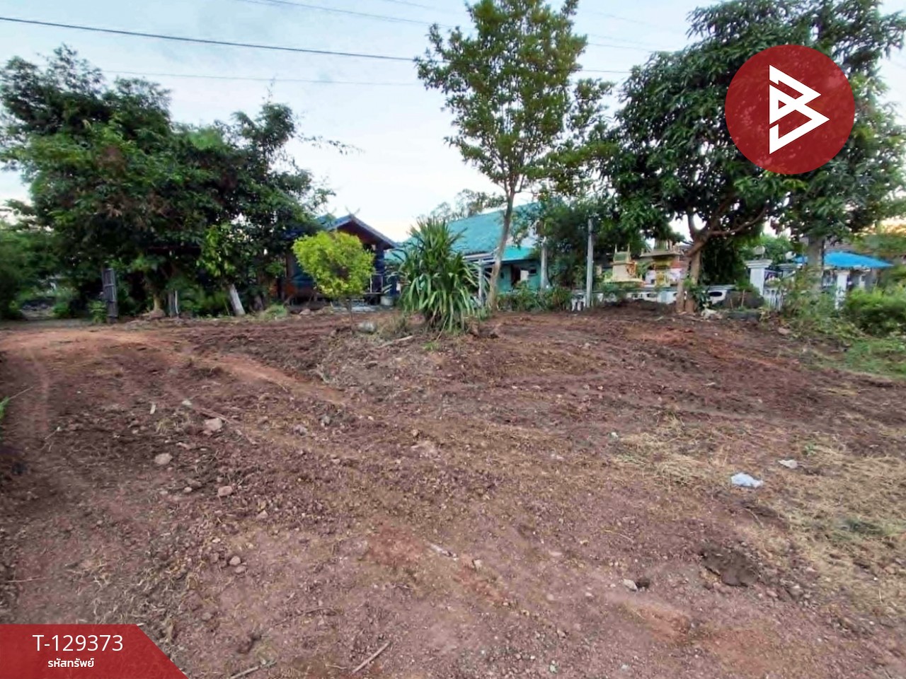 ขายบ้านเดี่ยวพร้อมที่ดิน เนื้อที่ 2 ไร่ 97 ตร.วา แก่งกระจาน เพชรบุรี 11