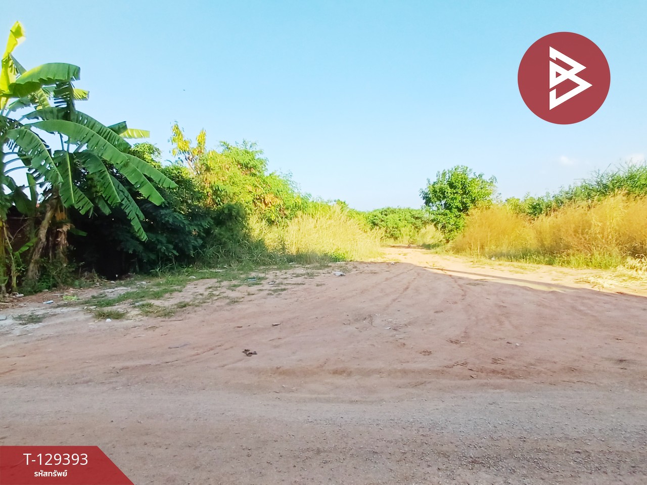 ขายที่ดิน เนื้อที่ 1 งาน 18.5 ตร.วา ดอนตะโก ราชบุรี 1