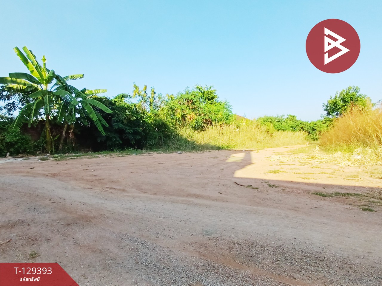 ขายที่ดิน เนื้อที่ 1 งาน 18.5 ตร.วา ดอนตะโก ราชบุรี 2