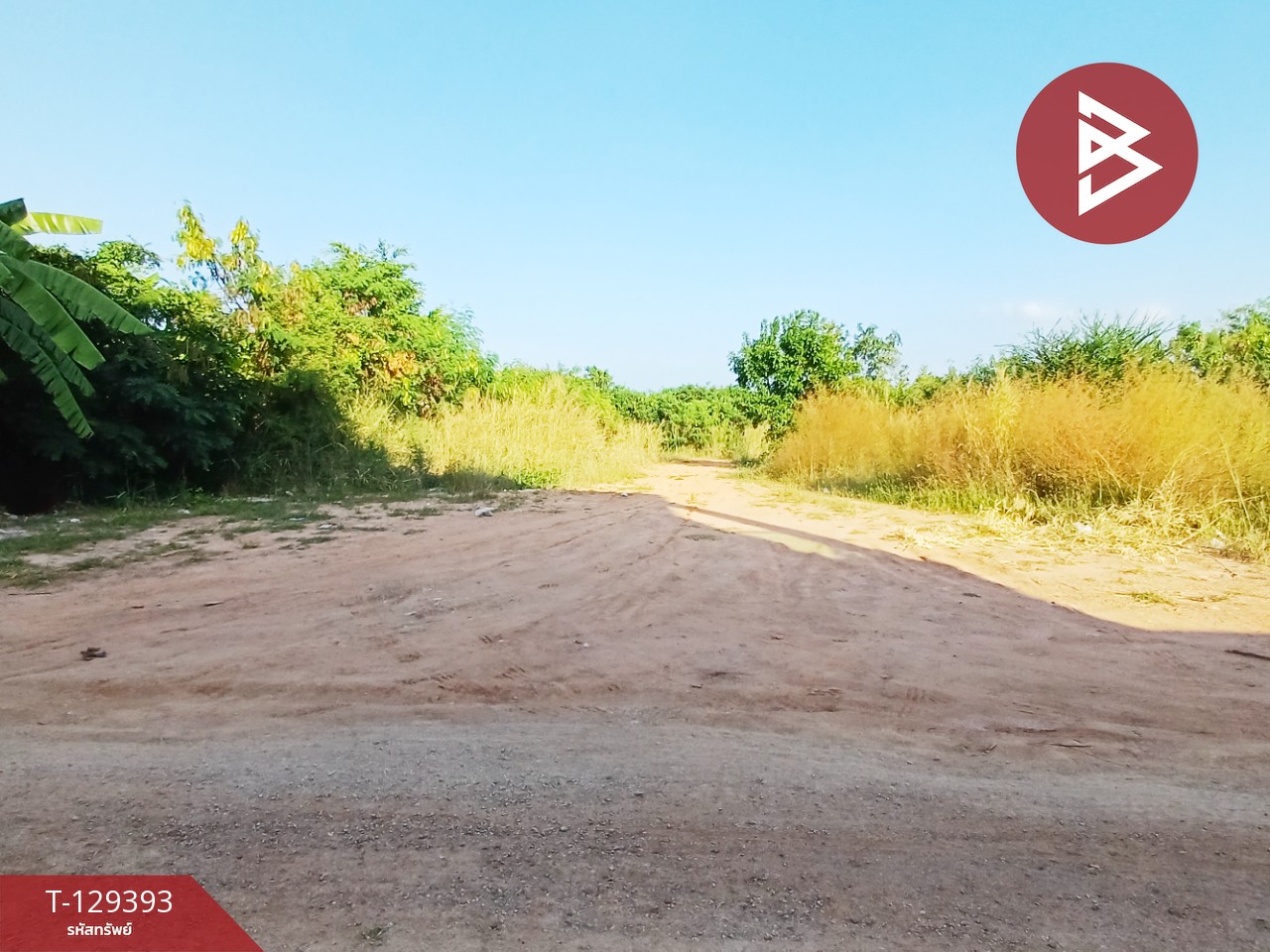 ขายที่ดิน เนื้อที่ 1 งาน 18.5 ตร.วา ดอนตะโก ราชบุรี 5