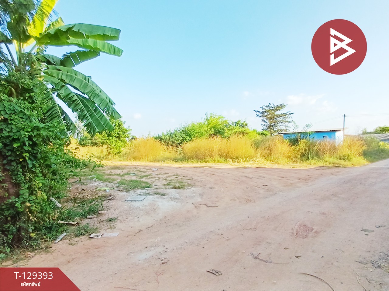 ขายที่ดิน เนื้อที่ 1 งาน 18.5 ตร.วา ดอนตะโก ราชบุรี 9