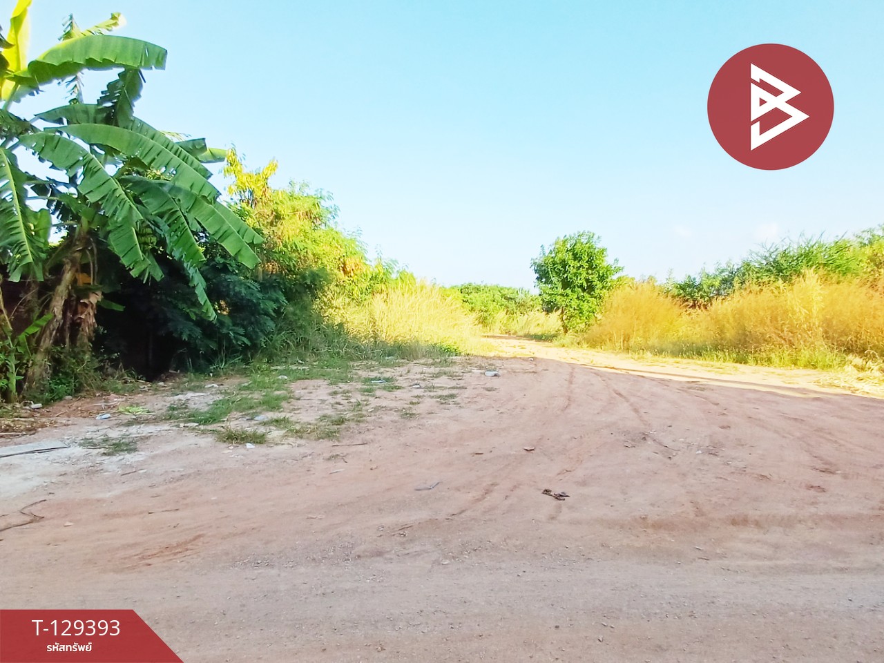 ขายที่ดิน เนื้อที่ 1 งาน 18.5 ตร.วา ดอนตะโก ราชบุรี 6