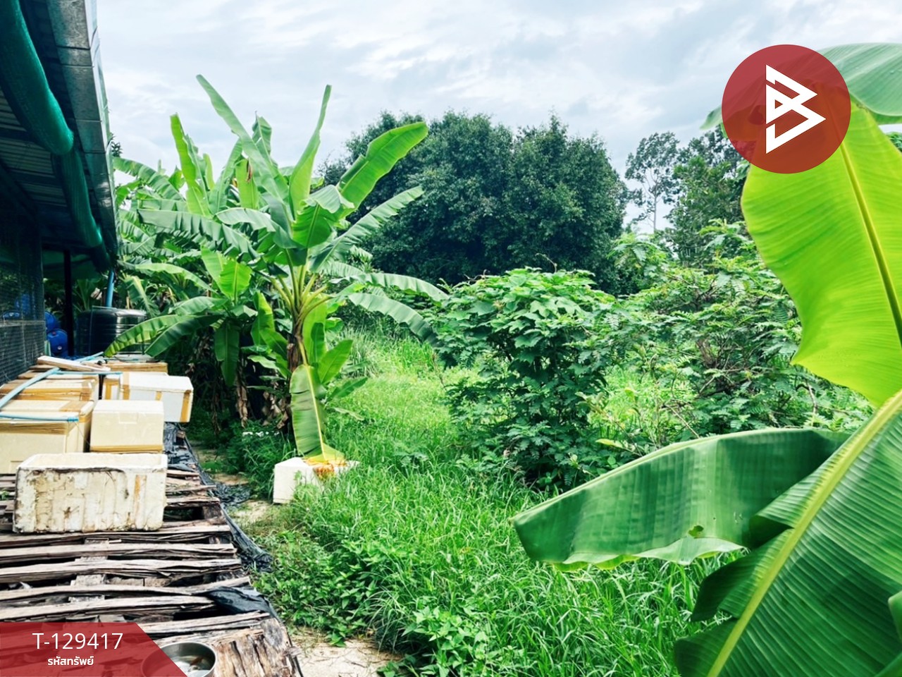 ขายที่ดิน เนื้อที่ 3 งาน 32.4 ตร.วา บ้านไร่ อุทัยธานี 6