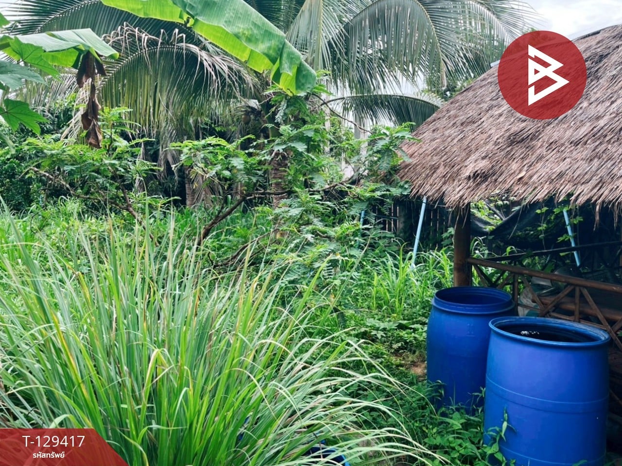 ขายที่ดิน เนื้อที่ 3 งาน 32.4 ตร.วา บ้านไร่ อุทัยธานี 9