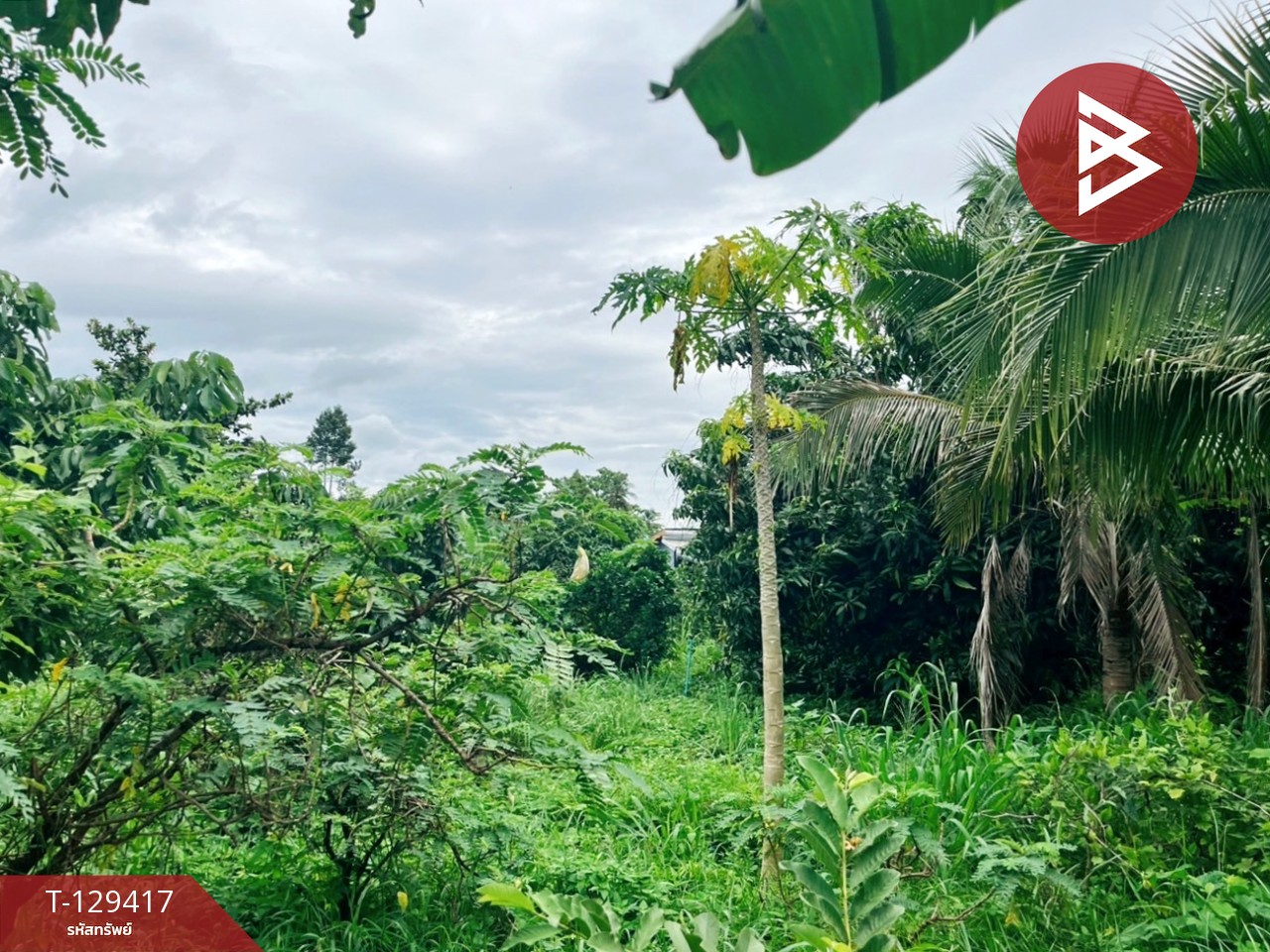 ขายที่ดิน เนื้อที่ 3 งาน 32.4 ตร.วา บ้านไร่ อุทัยธานี 5