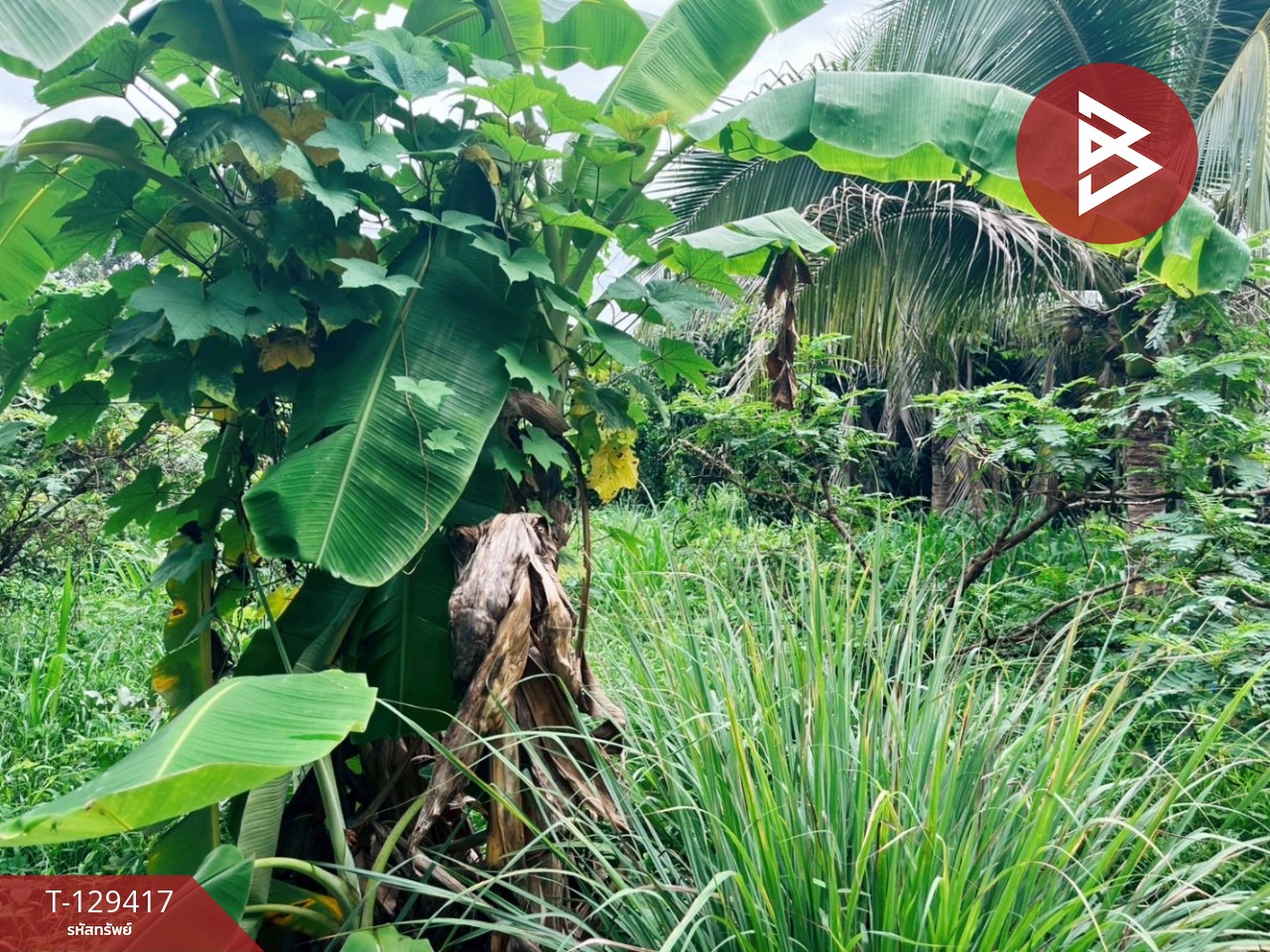 ขายที่ดิน เนื้อที่ 3 งาน 32.4 ตร.วา บ้านไร่ อุทัยธานี 10