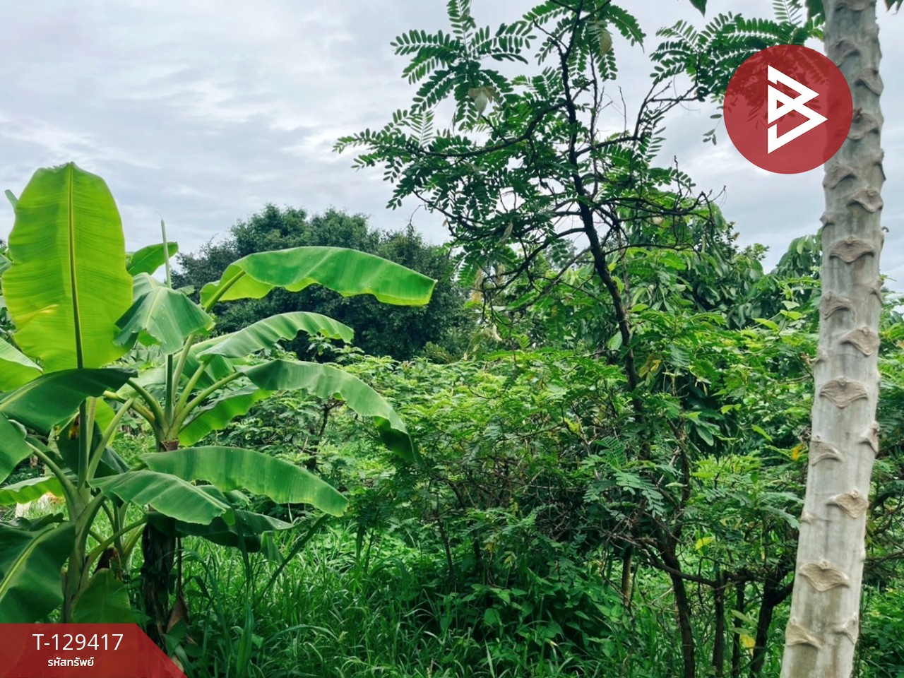 ขายที่ดิน เนื้อที่ 3 งาน 32.4 ตร.วา บ้านไร่ อุทัยธานี 7