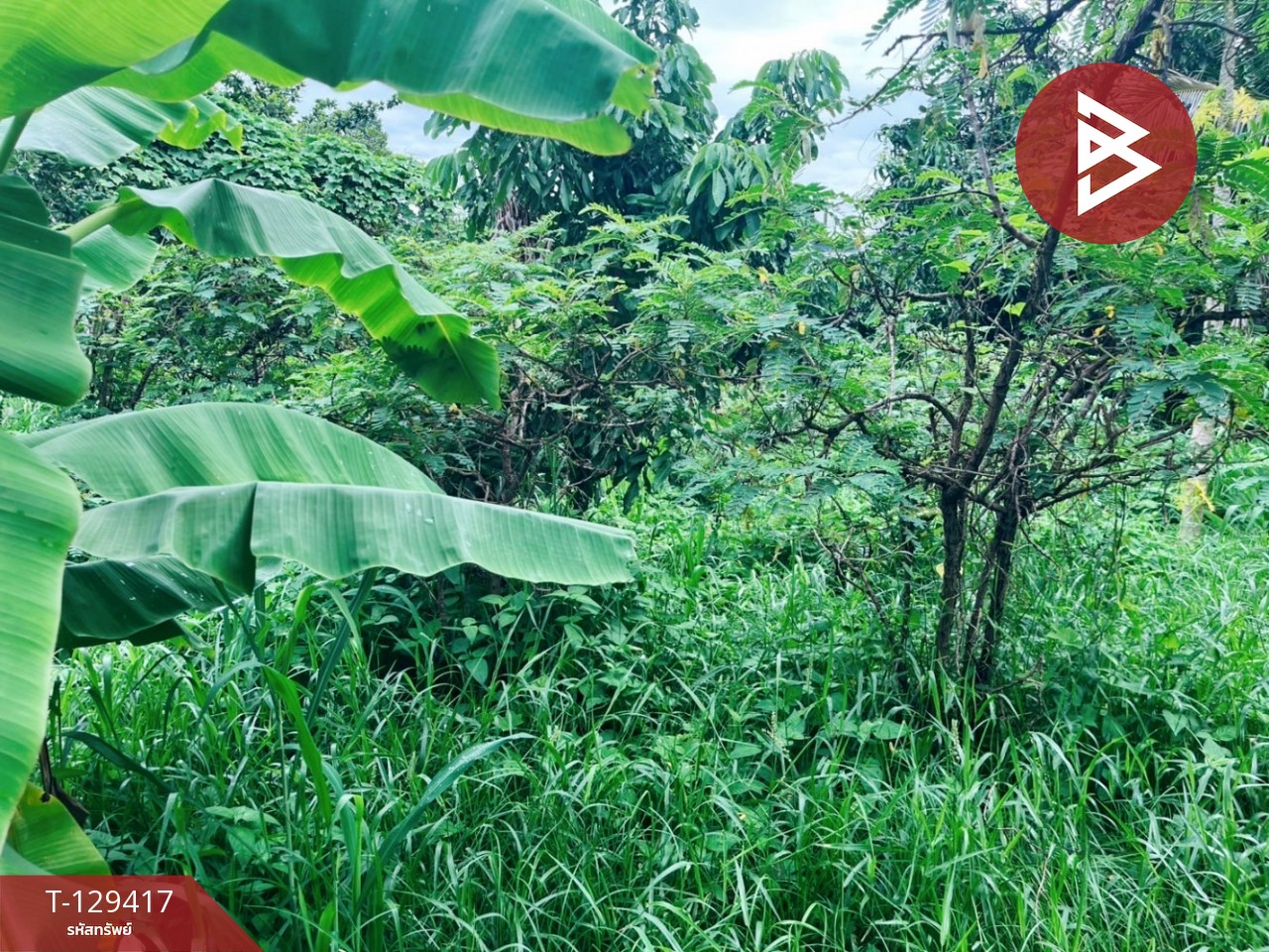 ขายที่ดิน เนื้อที่ 3 งาน 32.4 ตร.วา บ้านไร่ อุทัยธานี 11