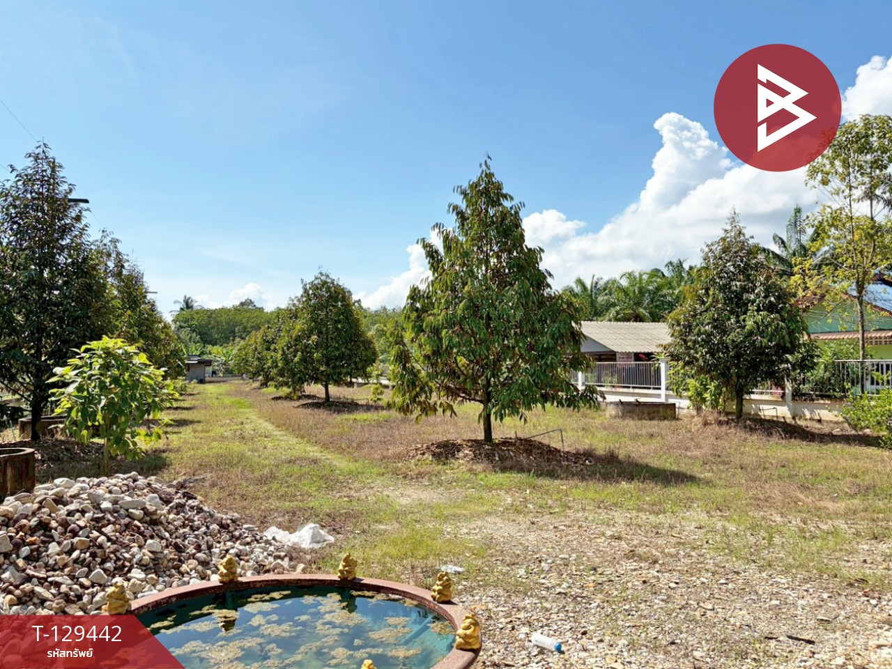 ขายบ้านเดี่ยวพร้อมที่ดิน เนื้อที่ 2 ไร่ 16.6 ตารางวา สิชล นครศรีธรรมราช 14