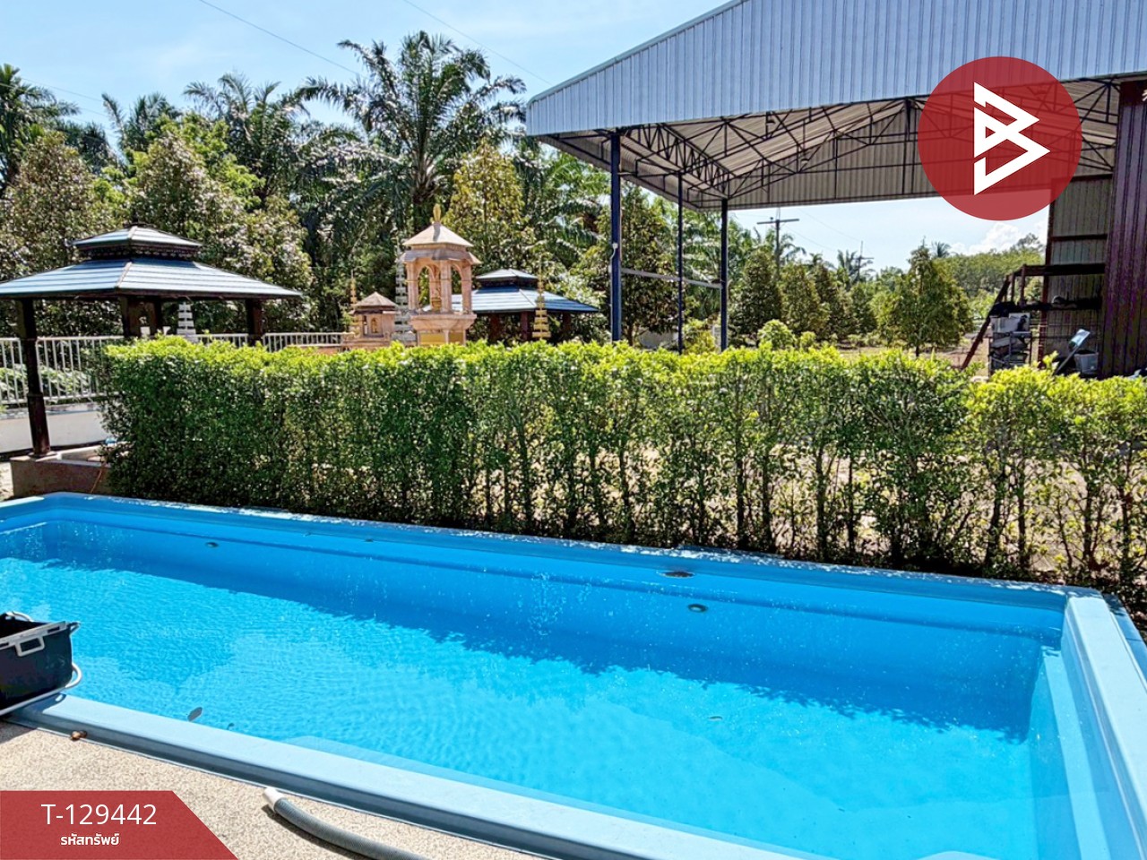 ขายบ้านเดี่ยวพร้อมที่ดิน เนื้อที่ 2 ไร่ 16.6 ตารางวา สิชล นครศรีธรรมราช 13