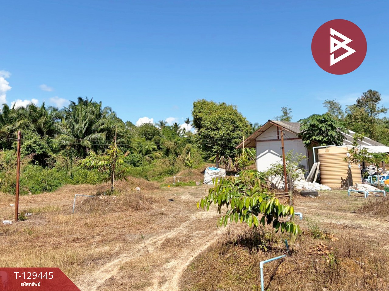 ขายด่วนที่ดินพร้อมสวนทุเรียน เนื้อที่ 9 ไร่ 3 งาน 56 ตารางวา สิชล นครศรีธรรมราช 1