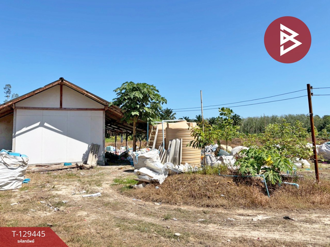 ขายด่วนที่ดินพร้อมสวนทุเรียน เนื้อที่ 9 ไร่ 3 งาน 56 ตารางวา สิชล นครศรีธรรมราช 9