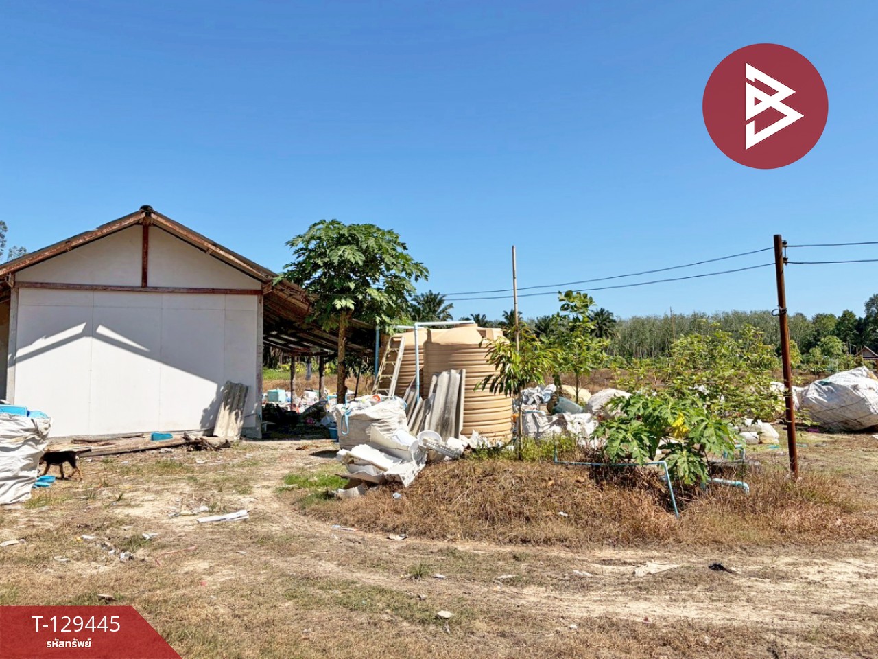 ขายด่วนที่ดินพร้อมสวนทุเรียน เนื้อที่ 9 ไร่ 3 งาน 56 ตารางวา สิชล นครศรีธรรมราช 2