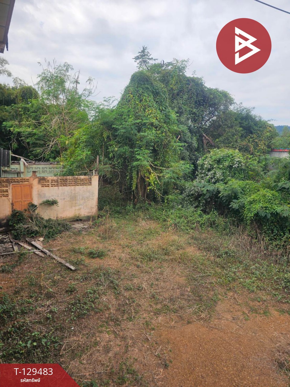 ขายบ้านเดี่ยวพร้อมที่ดิน เนื้อที่ 3 ไร่ 2 งาน 36 ตารางวา วังหามแห กำแพงเพชร 12