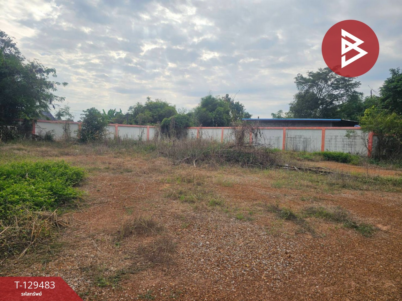 ขายบ้านเดี่ยวพร้อมที่ดิน เนื้อที่ 3 ไร่ 2 งาน 36 ตารางวา วังหามแห กำแพงเพชร 14