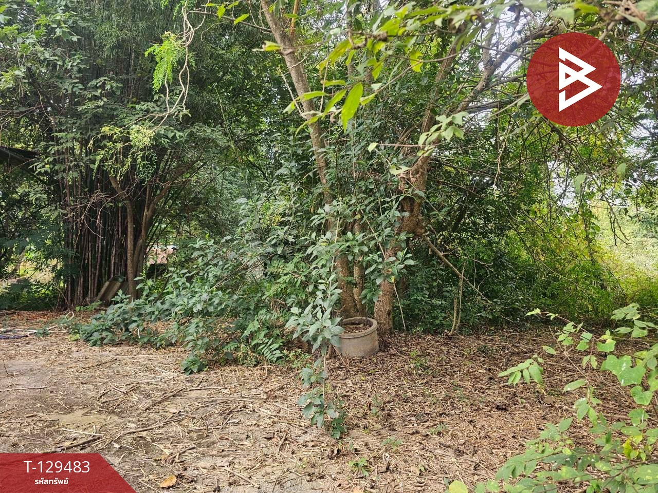 ขายบ้านเดี่ยวพร้อมที่ดิน เนื้อที่ 3 ไร่ 2 งาน 36 ตารางวา วังหามแห กำแพงเพชร 13