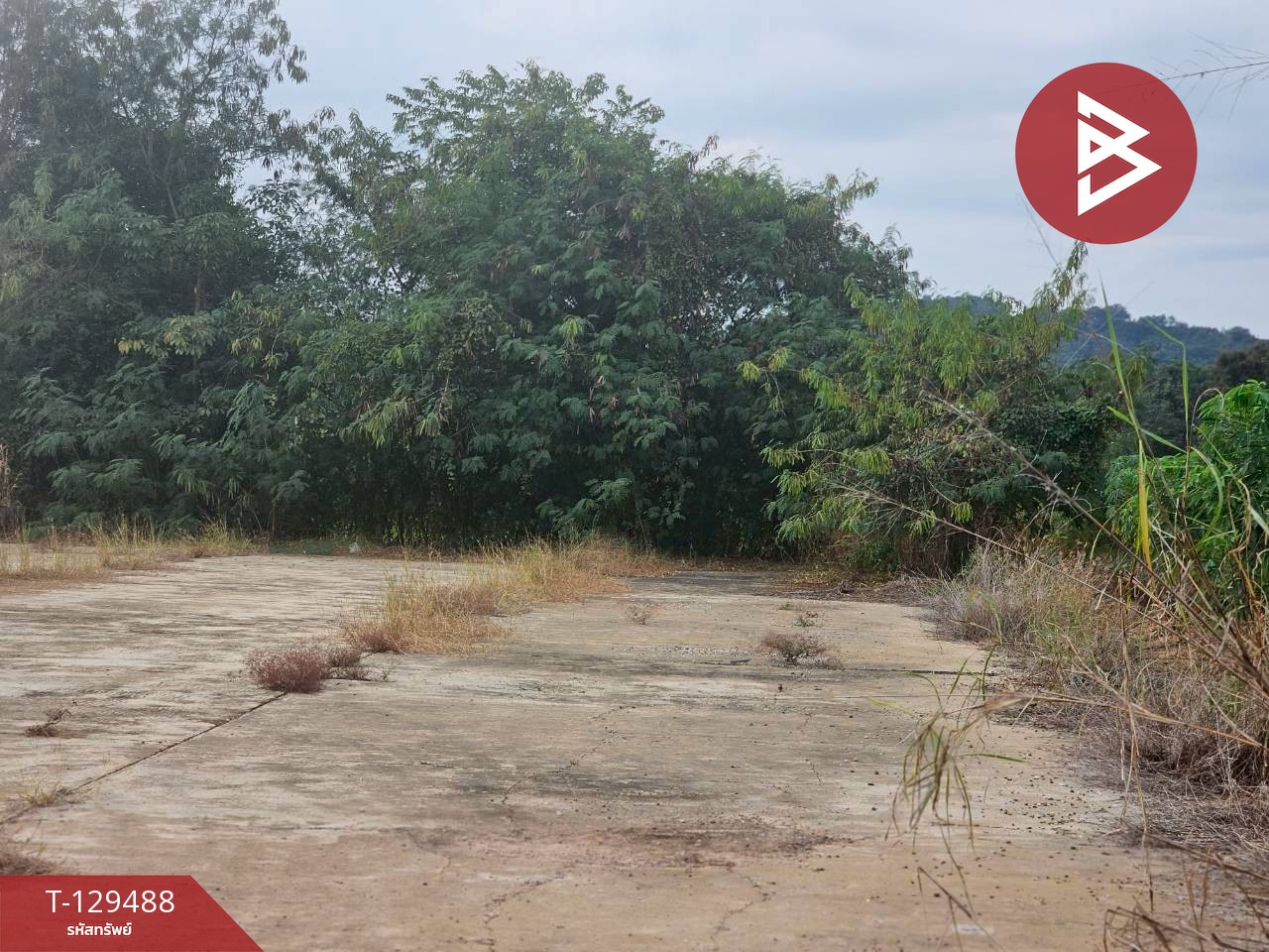 ขายที่ดิน เนื้อที่ 7 ไร่ 59 ตารางวา ต.วังหามแห กำแพงเพชร 12