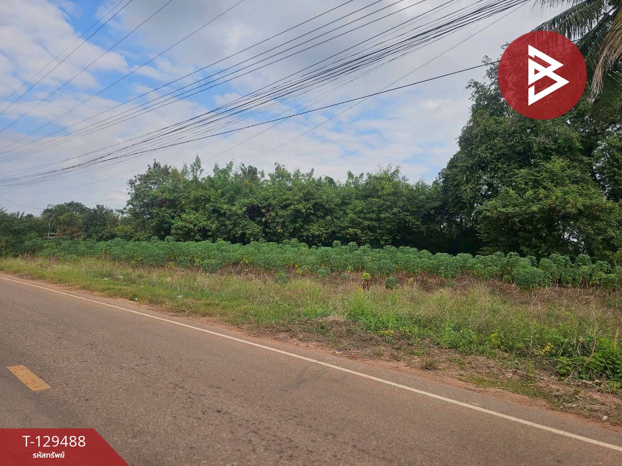 ขายที่ดิน เนื้อที่ 7 ไร่ 59 ตารางวา ต.วังหามแห กำแพงเพชร 5