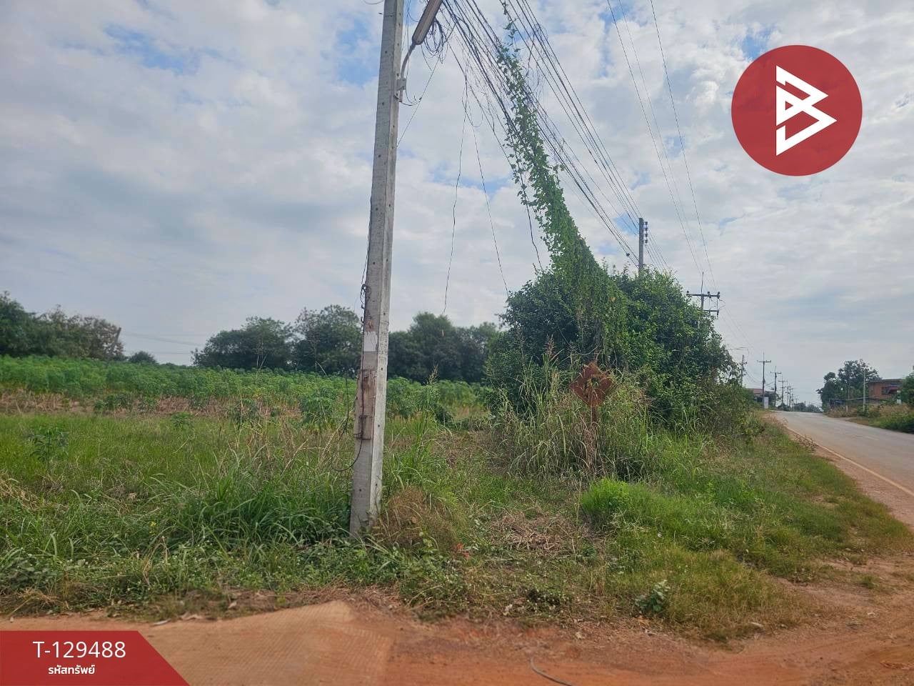 ขายที่ดิน เนื้อที่ 7 ไร่ 59 ตารางวา ต.วังหามแห กำแพงเพชร 14