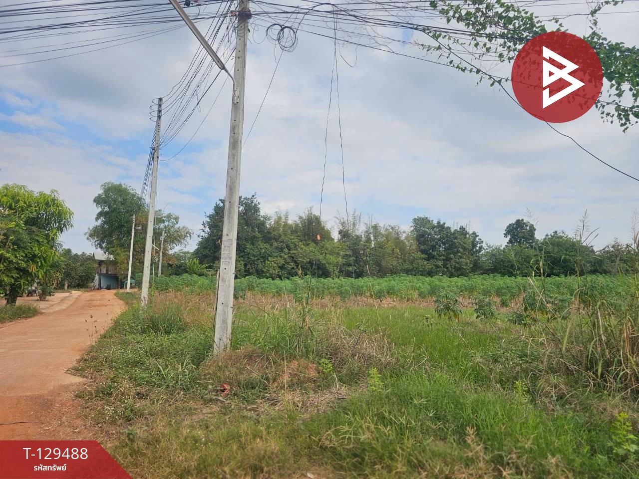 ขายที่ดิน เนื้อที่ 7 ไร่ 59 ตารางวา ต.วังหามแห กำแพงเพชร 13