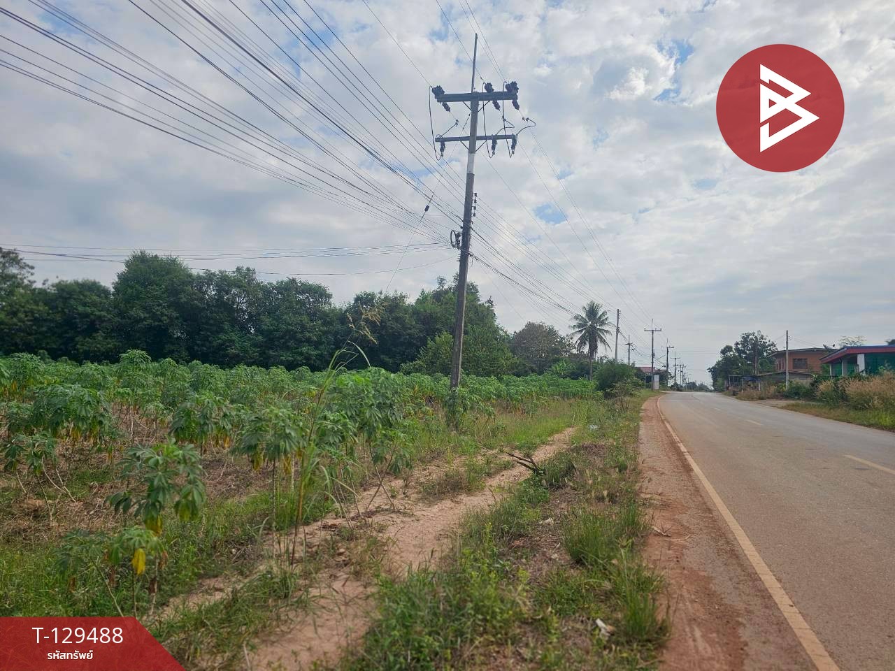 ขายที่ดิน เนื้อที่ 7 ไร่ 59 ตารางวา ต.วังหามแห กำแพงเพชร 2