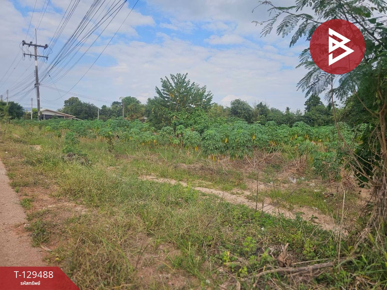 ขายที่ดิน เนื้อที่ 7 ไร่ 59 ตารางวา ต.วังหามแห กำแพงเพชร 3